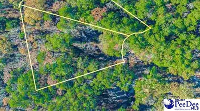 14 Tee Cir, Darlington, SC 29532 - photo 1