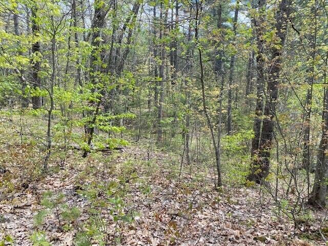 Map 13 Lot 11, Waterboro, ME 04061 - photo 1