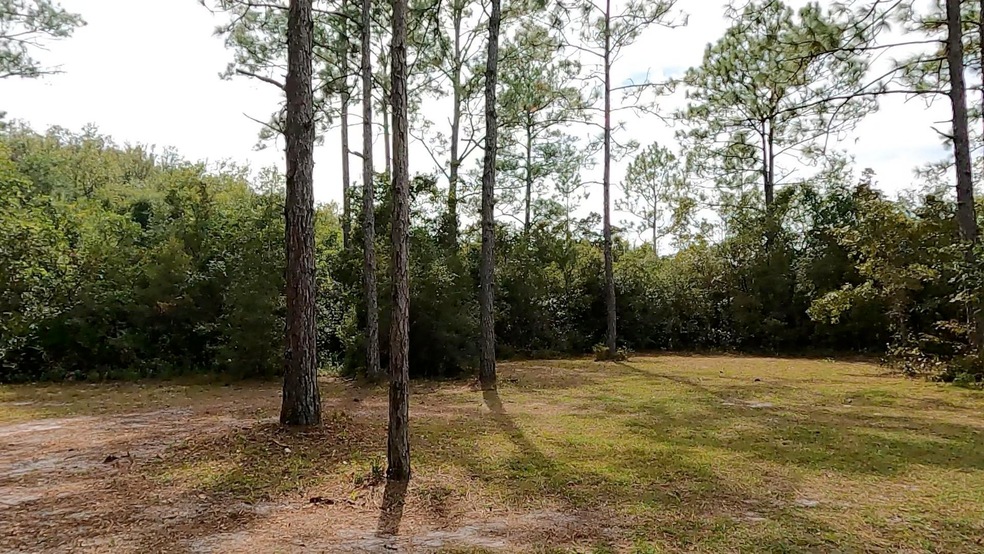 0 Peaceful Ln unit 351632, Crawfordville, FL 32327 - photo 1