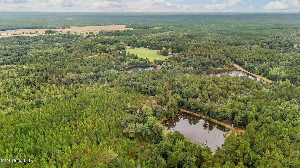 0 Crenshaw Rd, Lucedale, MS 39452 - photo 1