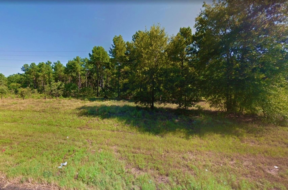 Cherokee Trail, Jefferson, TX 75657 - photo 1