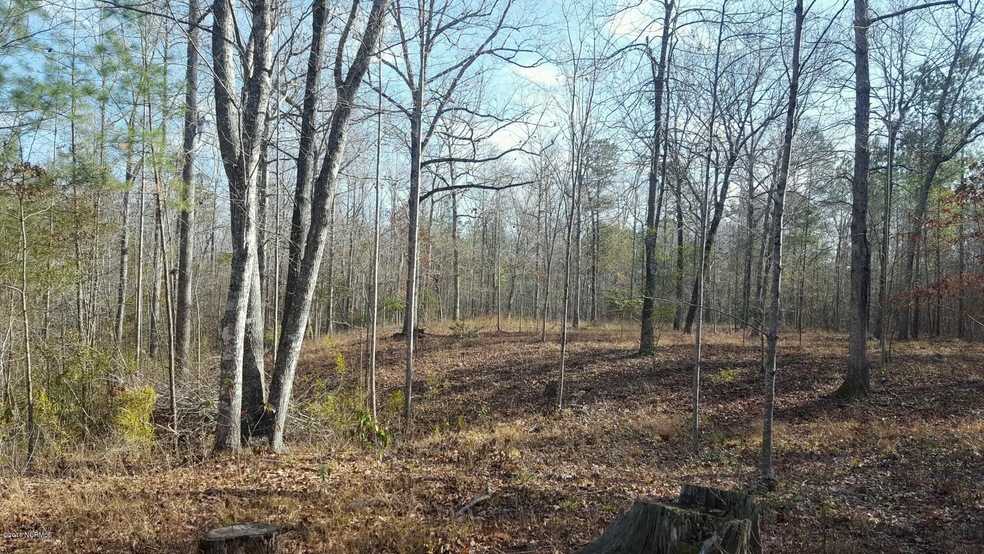 Beautiful 13+ Acre Track