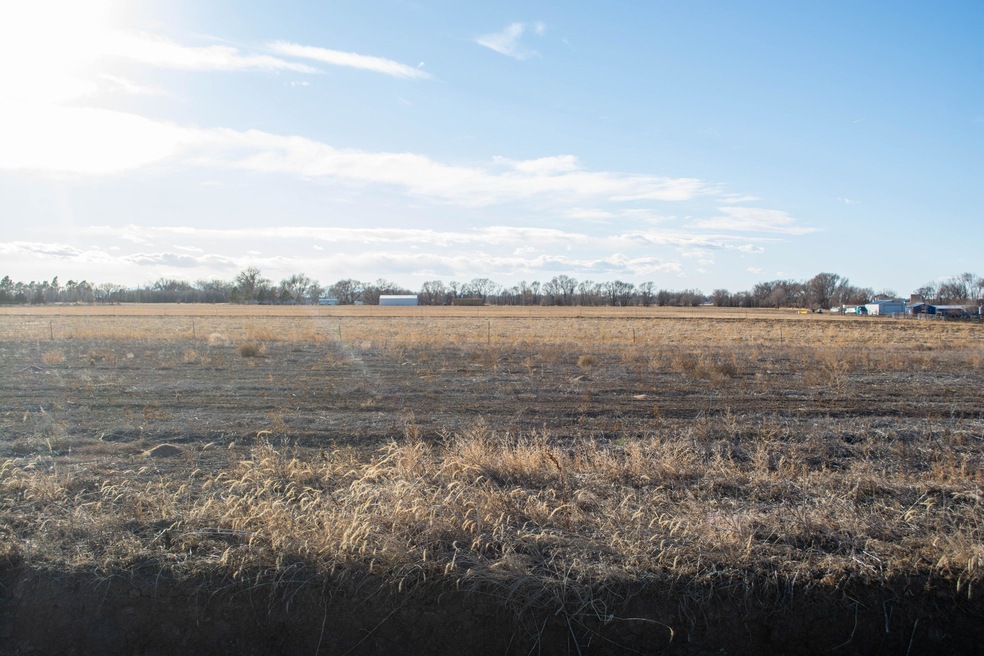 Lot 204