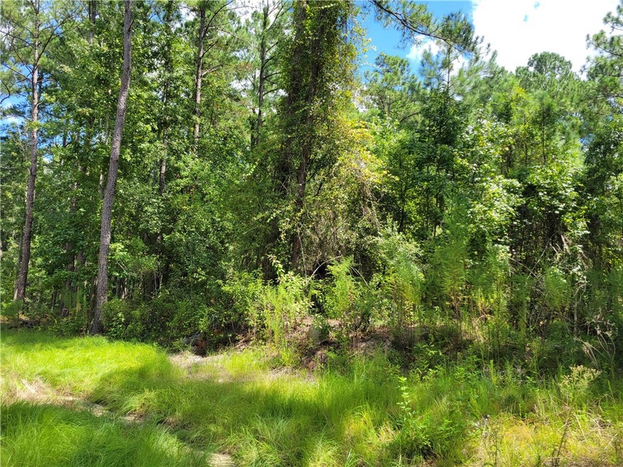 123 Winn Clay Dr, Waycross, GA 31503 - photo 1