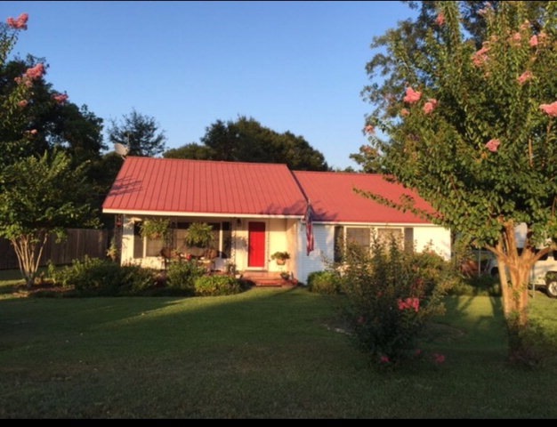 Main View