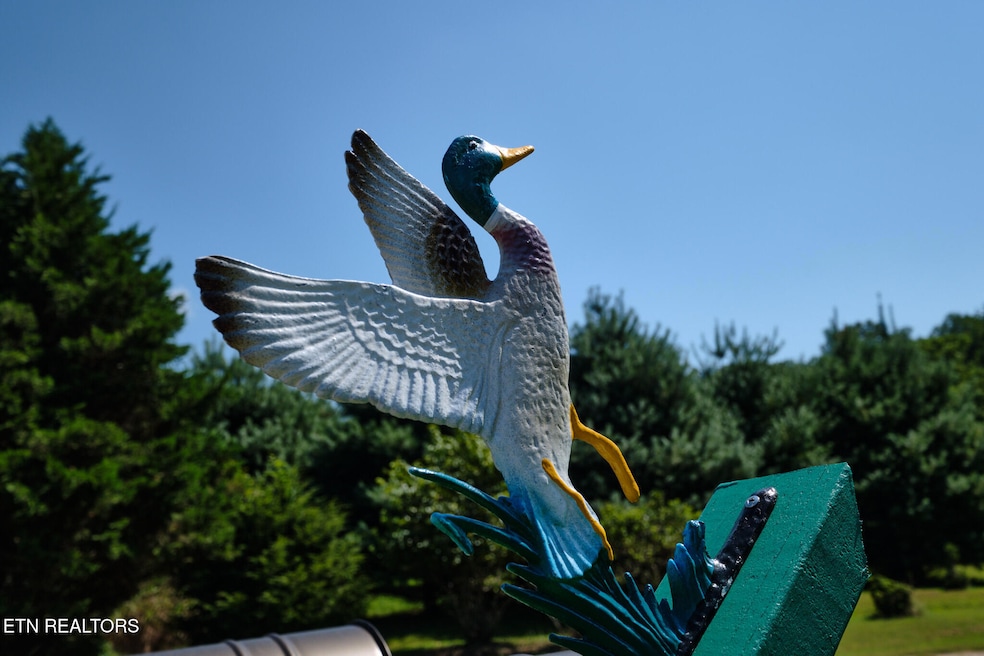 399 Texas Ln, Kingston, TN 37763 - photo 1