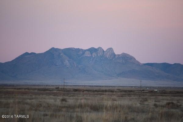 IMG_4651 - Copy