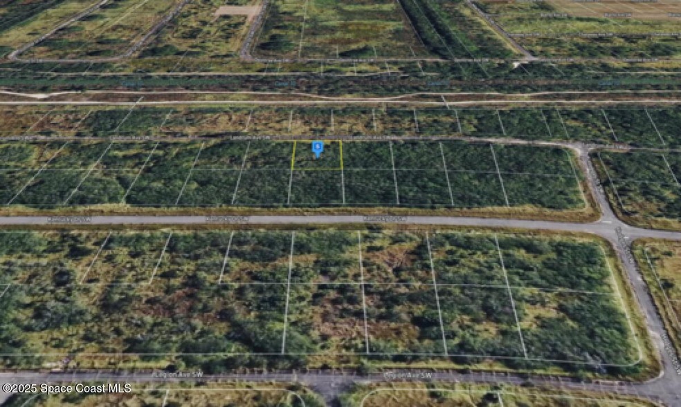 2374 Landrum Ave SW, Palm Bay, FL 32908 - photo 1