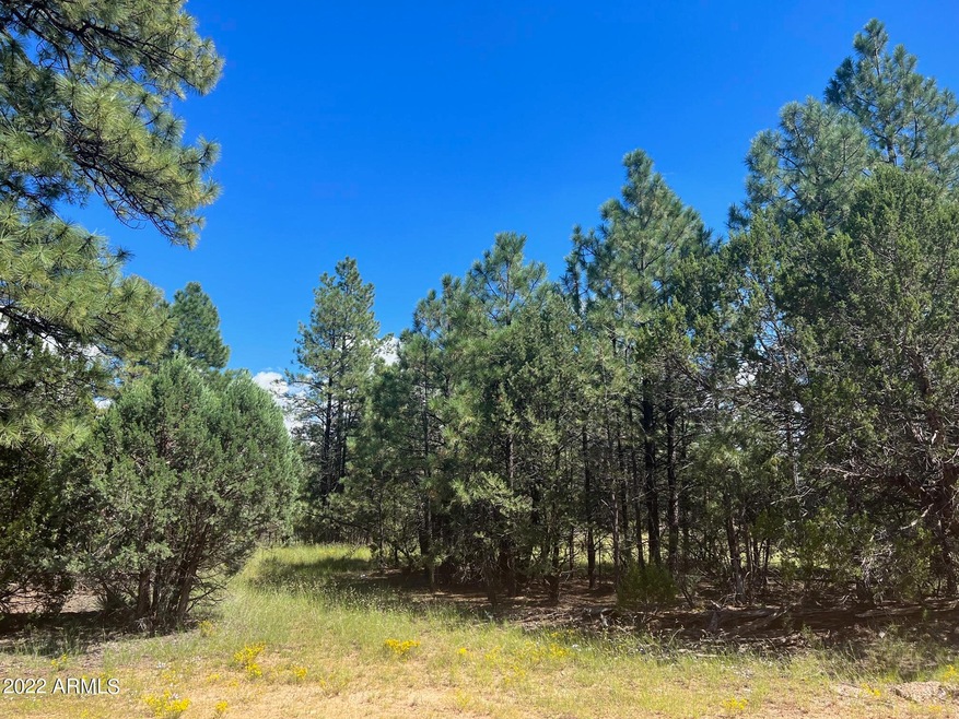 2899 Lejo Rd.