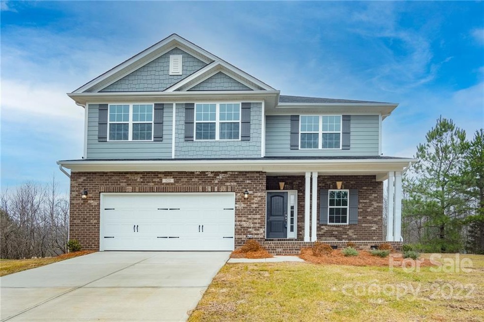 123 Bunker Hill Ln unit 6204, Statesville, NC 28677 - photo 1