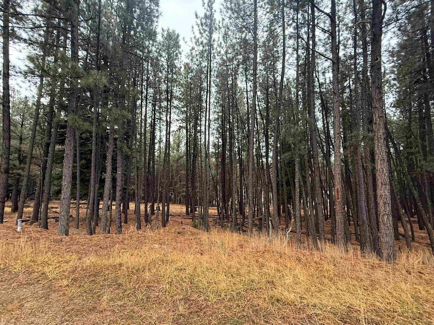 Lot 75 San Juan Dr, Angel Fire, NM 87710 - photo 1
