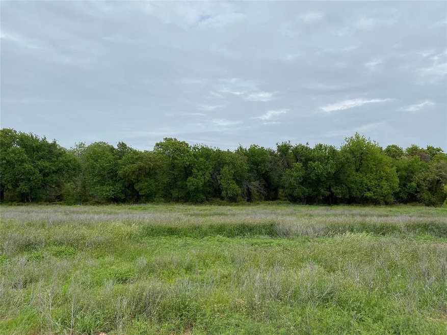 Lot 25 Dry Creek Rd, Weatherford, TX 76088 - photo 1