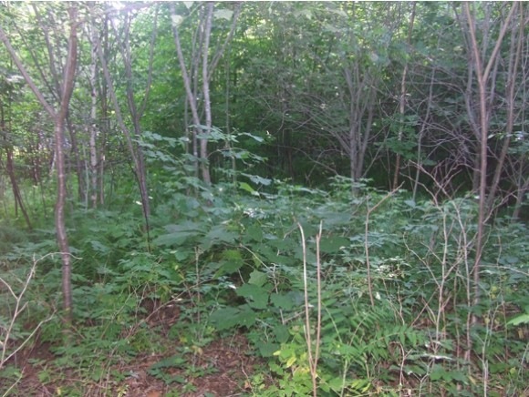 Lot 13 Chaddarin Ln, Plymouth, NH 03264 - photo 1
