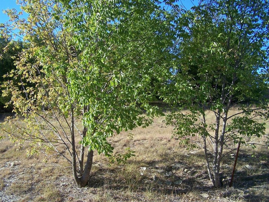 7B Greenway Bend, Pottsboro, TX 75076 - photo 1