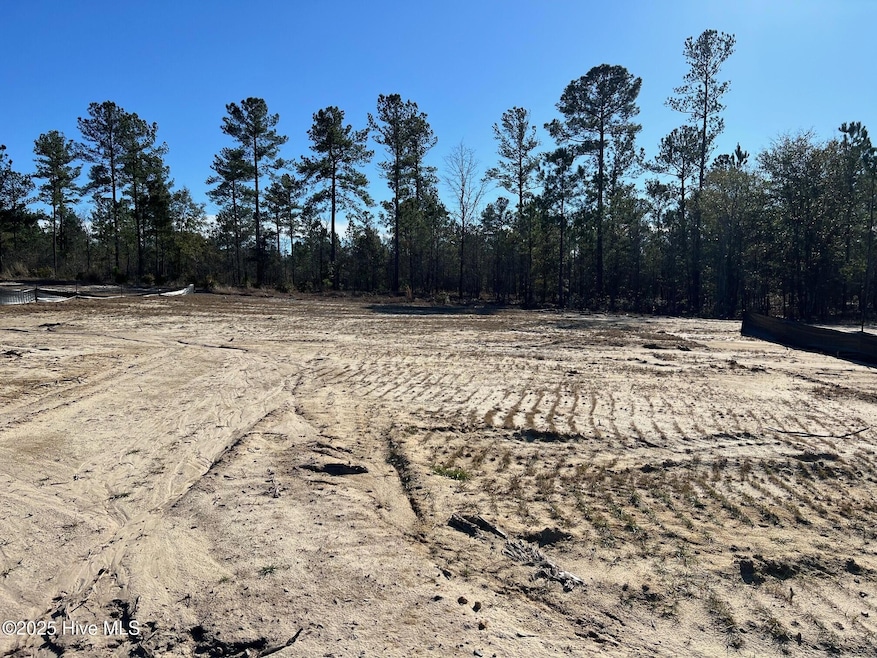 2918 W Timber Crest Dr, Leland, NC 28451 - photo 1