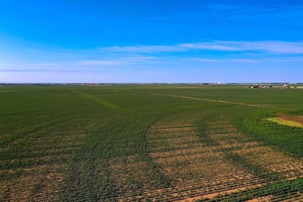 3207 E County Road 5500, Lubbock, TX 79403 - photo 1