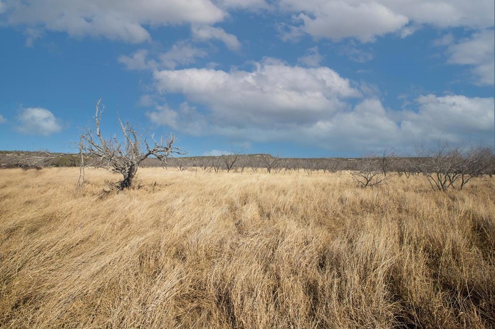 4 E Lower Crabapple Rd unit 4, Fredericksburg, TX 78624 - photo 1