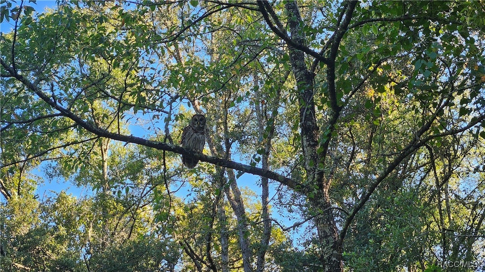 1105 Constitution Way, Inverness, FL 34453 - photo 1