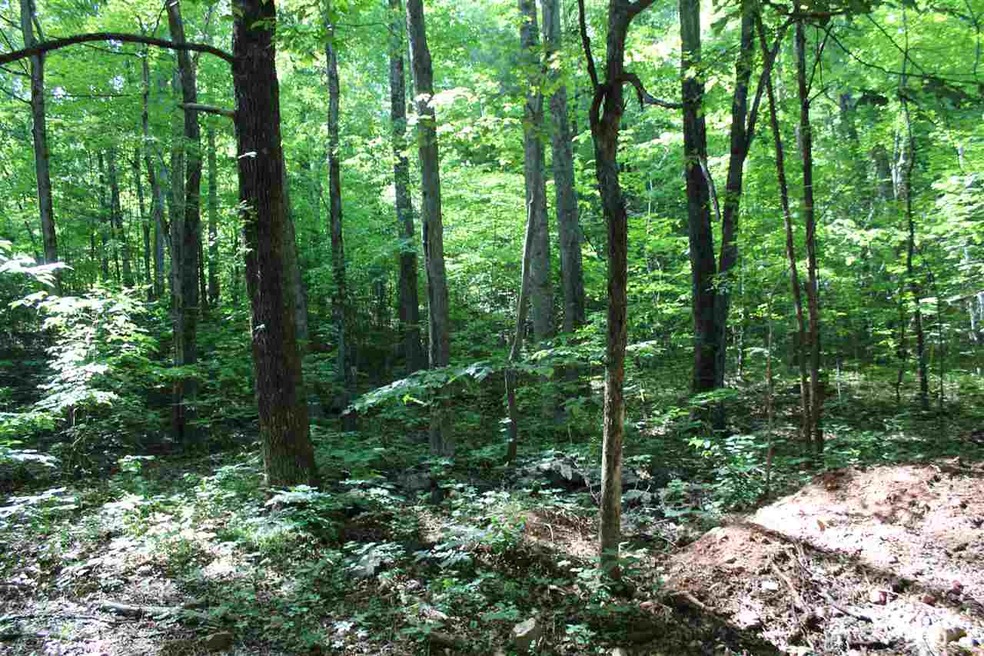 Lot 53 Red Bird Dr, Stanardsville, VA 22973 - photo 1