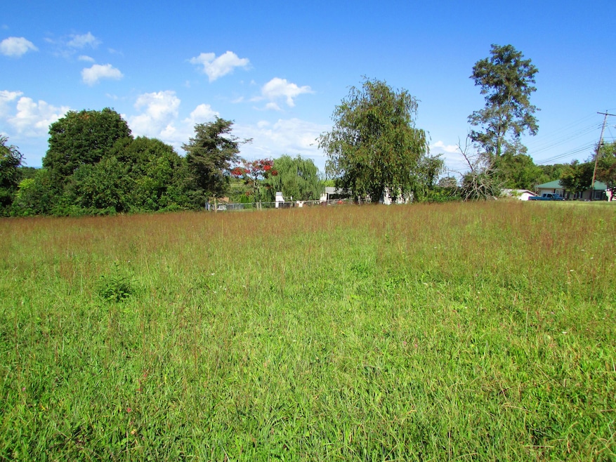 cherry tree lane (1)