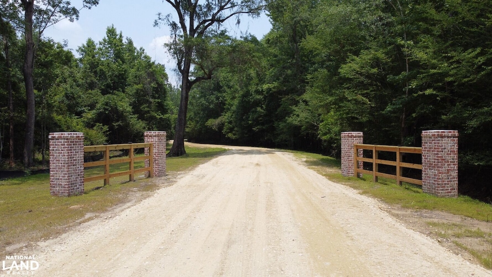 0 Steed Creek Rd unit 25684025, Huger, SC 29450 - photo 1