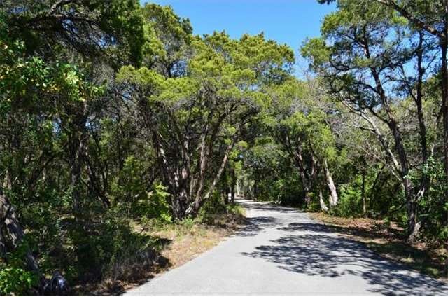 Driveway up to the current home. It's hard to beli