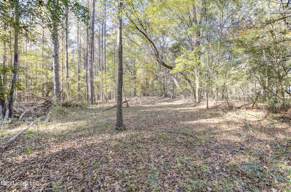 0 Brenmar St, Brandon, MS 39042 - photo 1