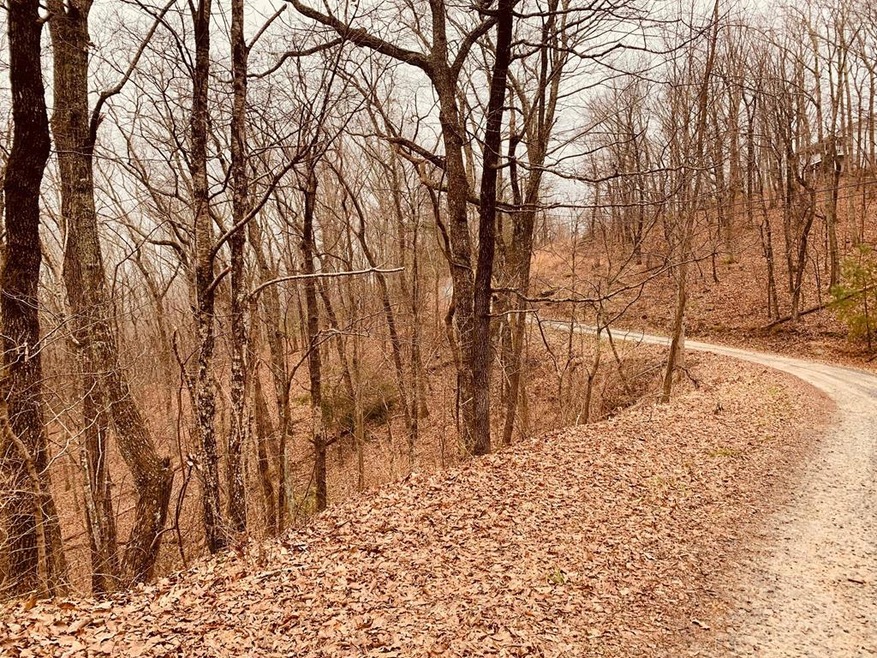 0 Bull Gap Rd unit 120310, Jasper, GA 30143 - photo 1