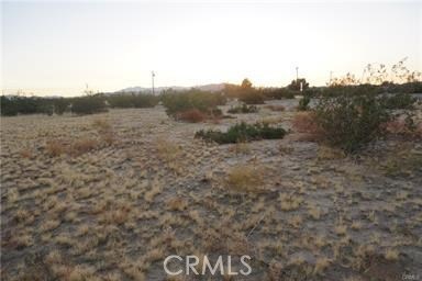4913 Sunfair Rd, Joshua Tree, CA 92252 - photo 1
