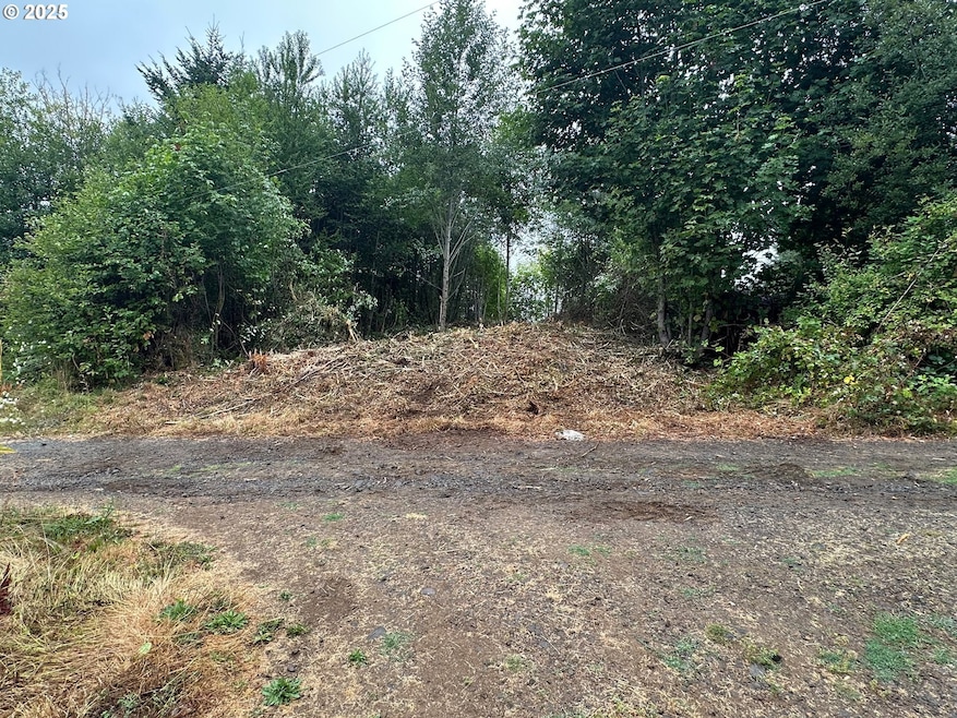 0 Bear Rd unit 653700348, Seaside, OR 97138 - photo 1