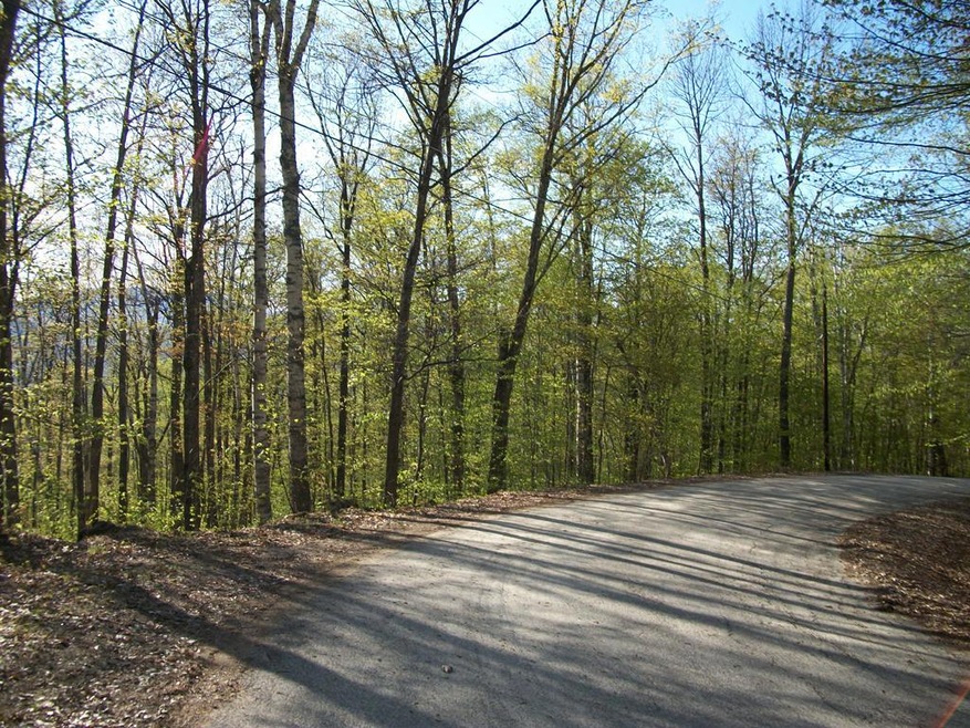 21C Pegwood, Campton, NH 03223 - photo 1