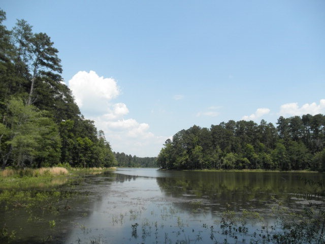 Main View