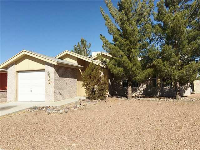 243 Barrel Cactus Dr, Horizon City, TX 79928 - photo 1