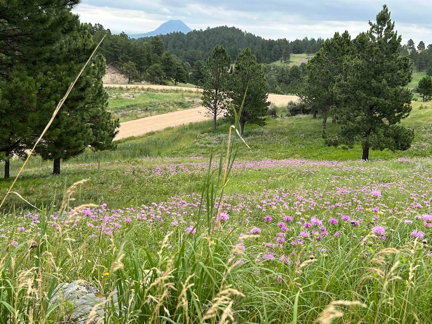 Lot 30 Summit Pass unit Dakota Highland Esta, Whitewood, SD 57793 - photo 1