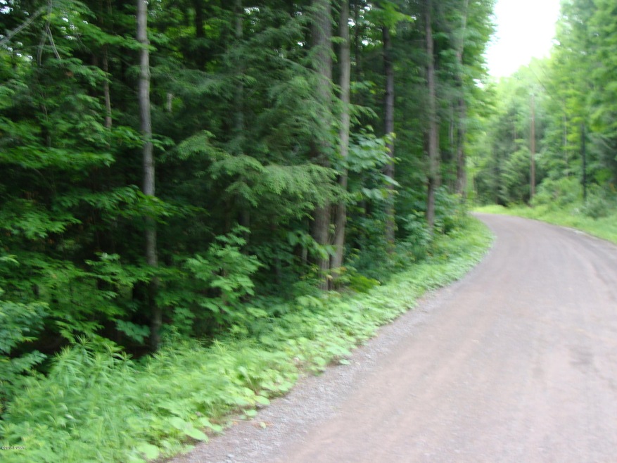 0 Old Gravity Rd unit PWB153139, Wayne County, PA 18436 - photo 1