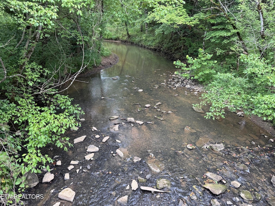 4 Rutledge Lot 4 Pike, Blaine, TN 37709 - photo 1