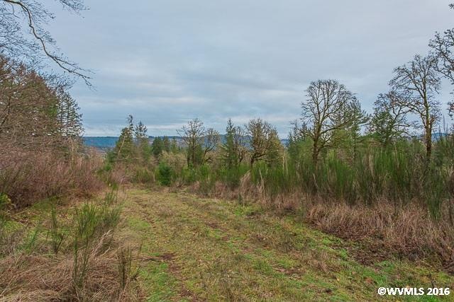 Valley View Parcel 2 (4 56 Acre) Dr, Scio, OR 97374 - photo 1