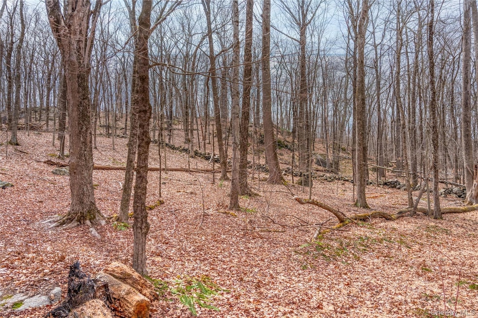 32 Joshua Hobby Ln, Pound Ridge, NY 10576 - photo 1