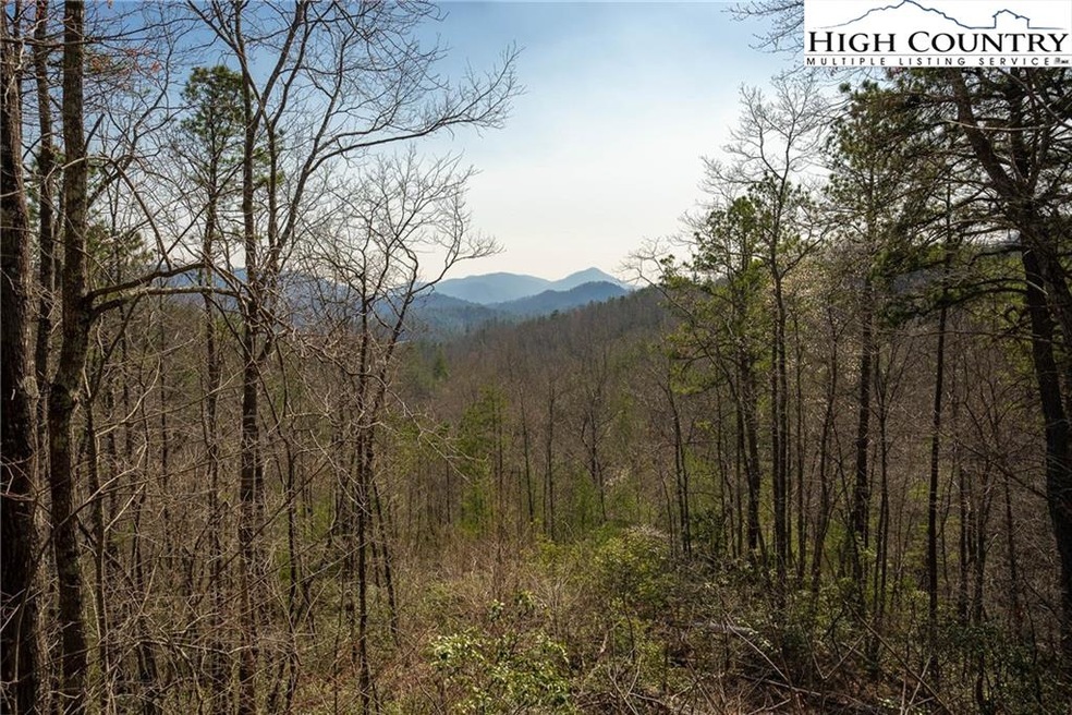 1327 Reynolds Pkwy, Boone, NC 28607 - photo 1