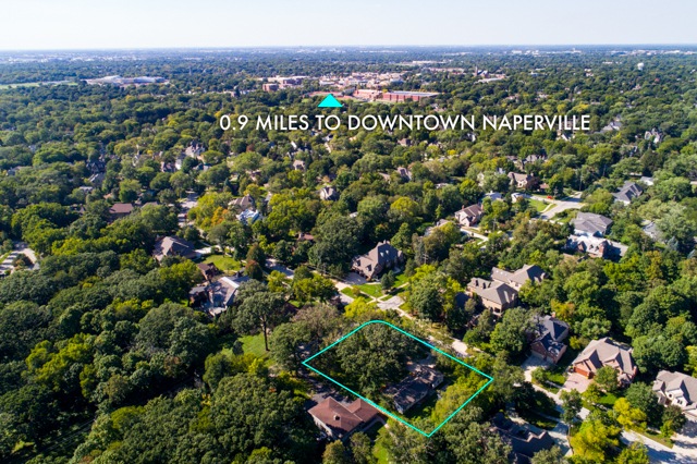 806 S Julian St, Naperville, IL 60540 - photo 1