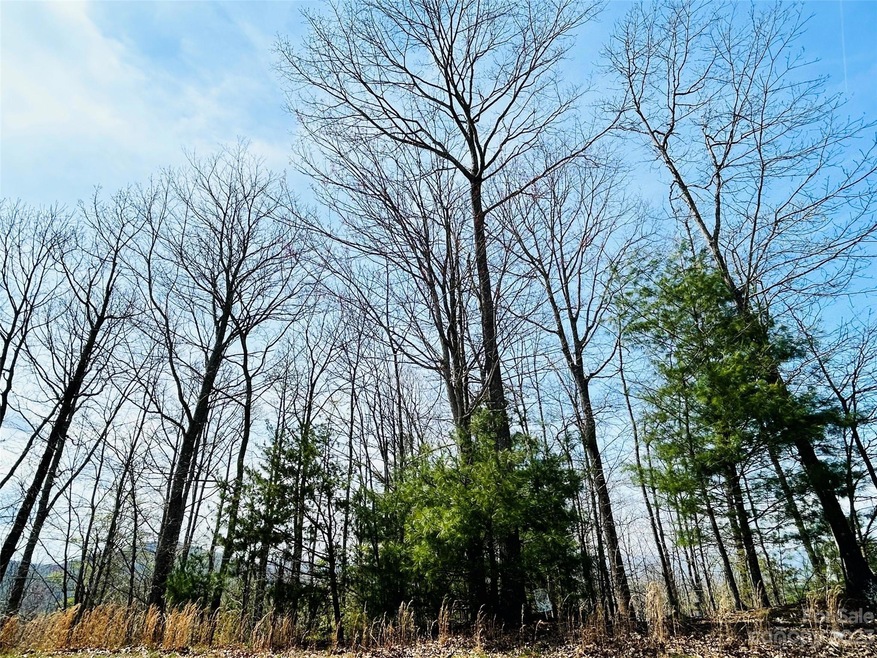 38 Chimney Crest Dr, Asheville, NC 28806 - photo 1
