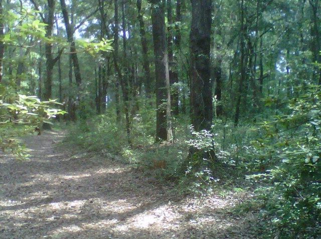 Main View