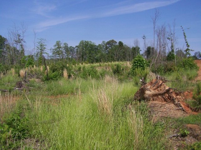 0 Strawberry Rd unit 45923, Chatham, VA 24531 - photo 1