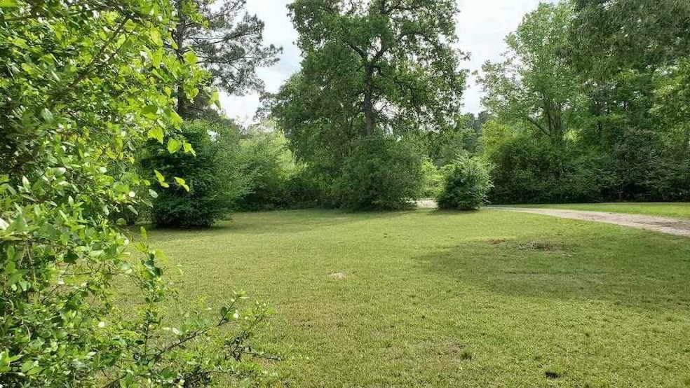 431 Melton St, Magnolia, TX 77354 - photo 1