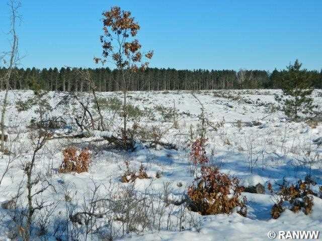 Pcl 3 Woodland Pass, Danbury, WI 54830 - photo 1