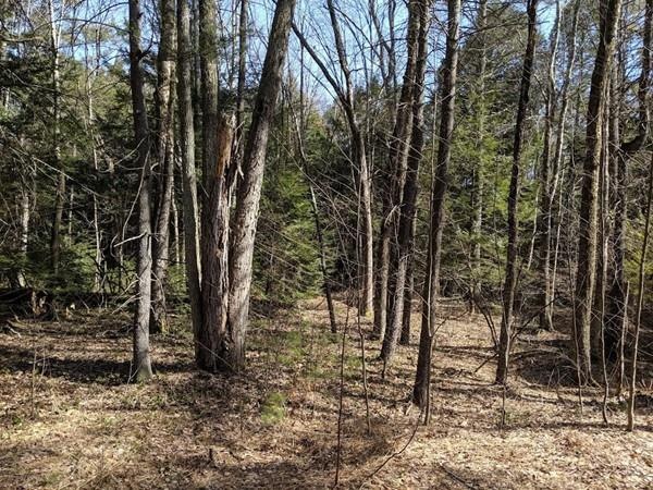 0 Horton Rd, Orange, MA 01364 - photo 1