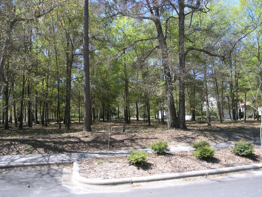 9141 E Bramshill Rd SW, Calabash, NC 28467 - photo 1