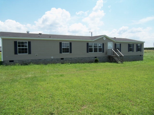 Main View