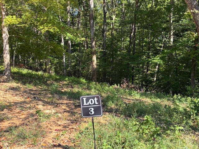 0 Hunziker Ln unit RTC2785102, Fairview, TN 37062 - photo 1