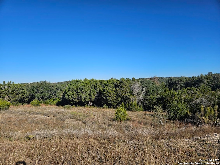 2385 Comal Springs, Canyon Lake, TX 78133 - photo 1